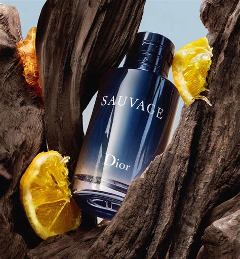 dior eau sauvage model|dior sauvage edt fragrantica.